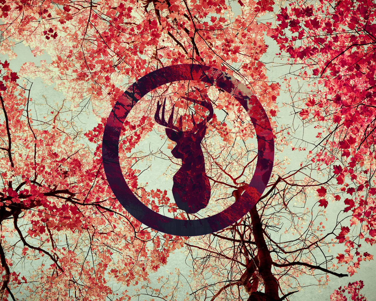 Силуэт оленя на фоне осенних листьев