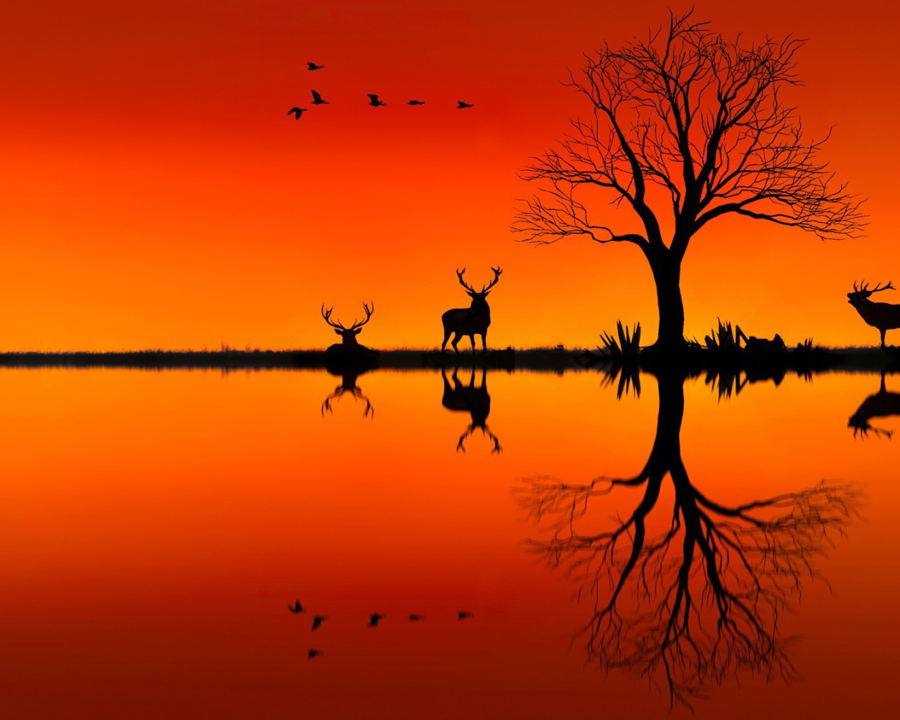 Силуэты оленей на оранжевом фоне