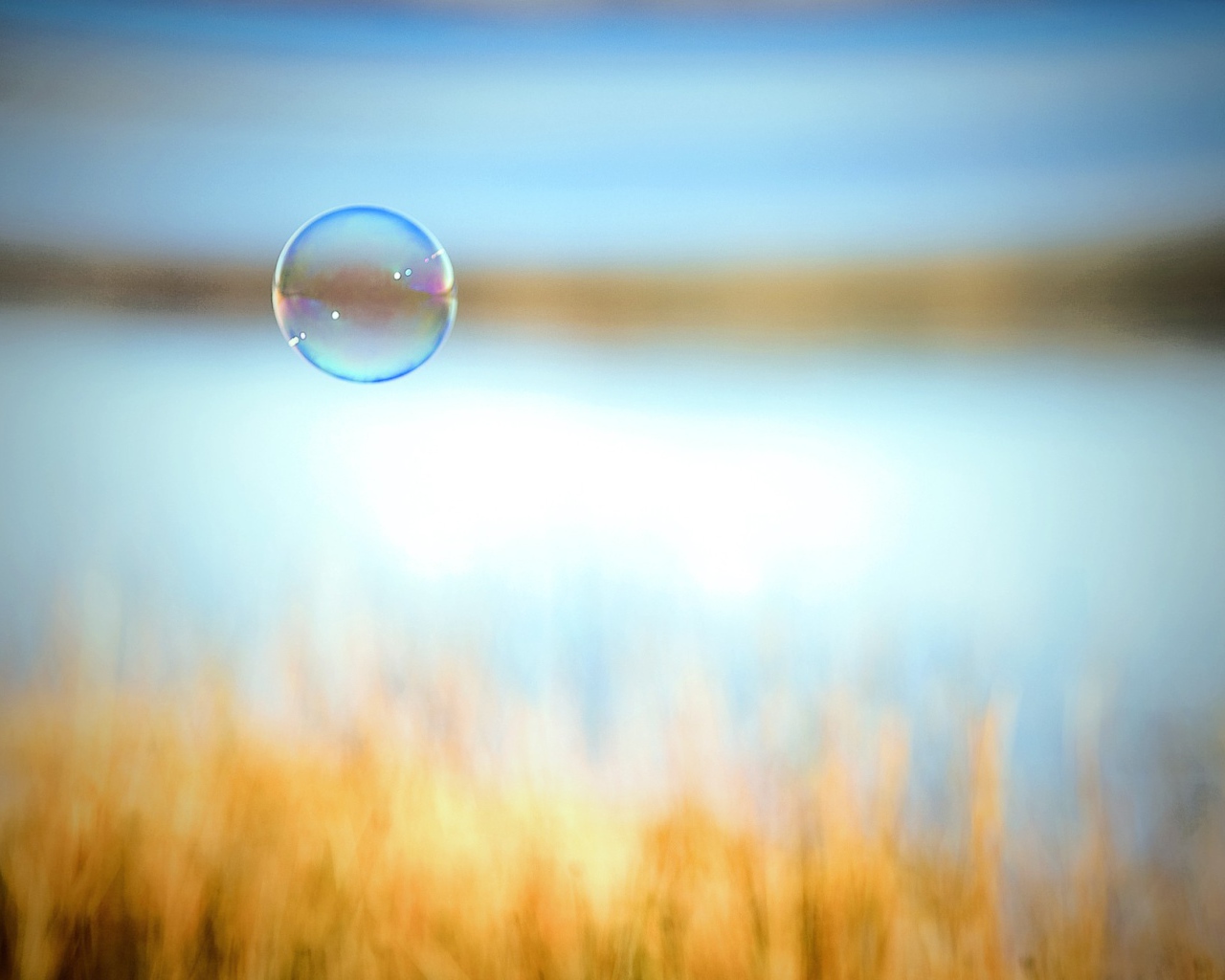 Мыльный пузырь на фоне поля