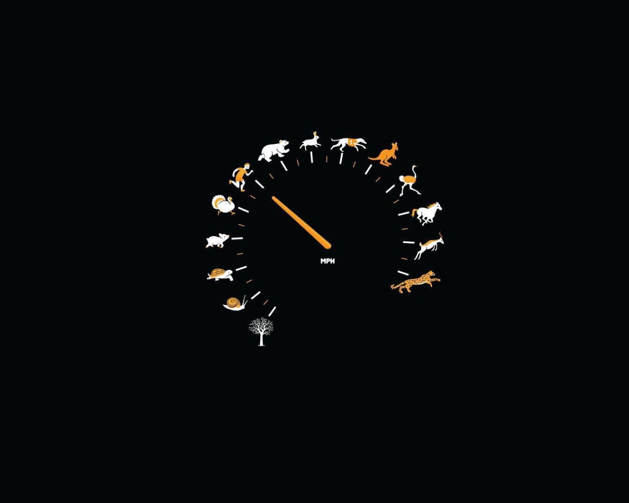 Спидометр для блондинок