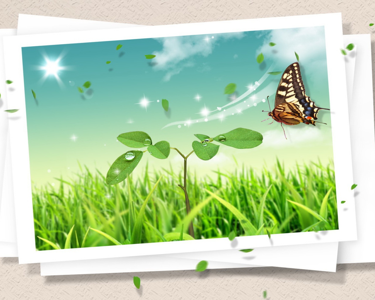 Летняя открытка с бабочкой