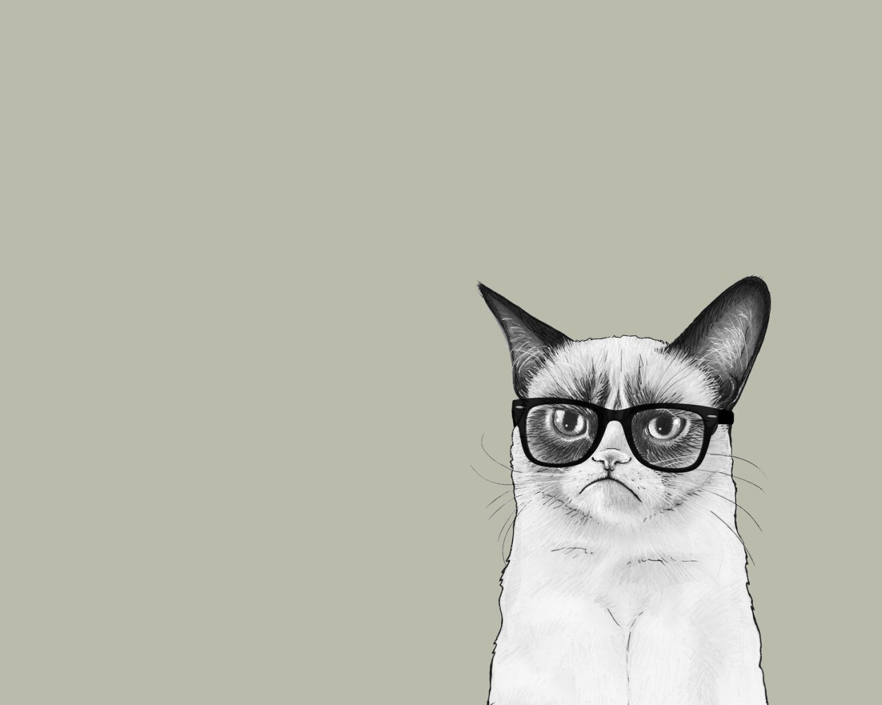 Кот в очках, серый фон