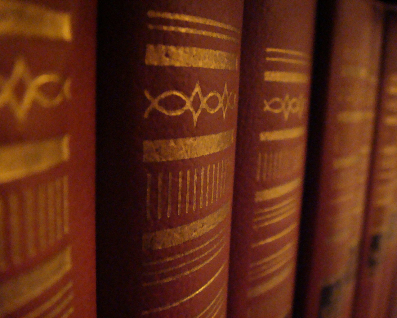 Корешки книг