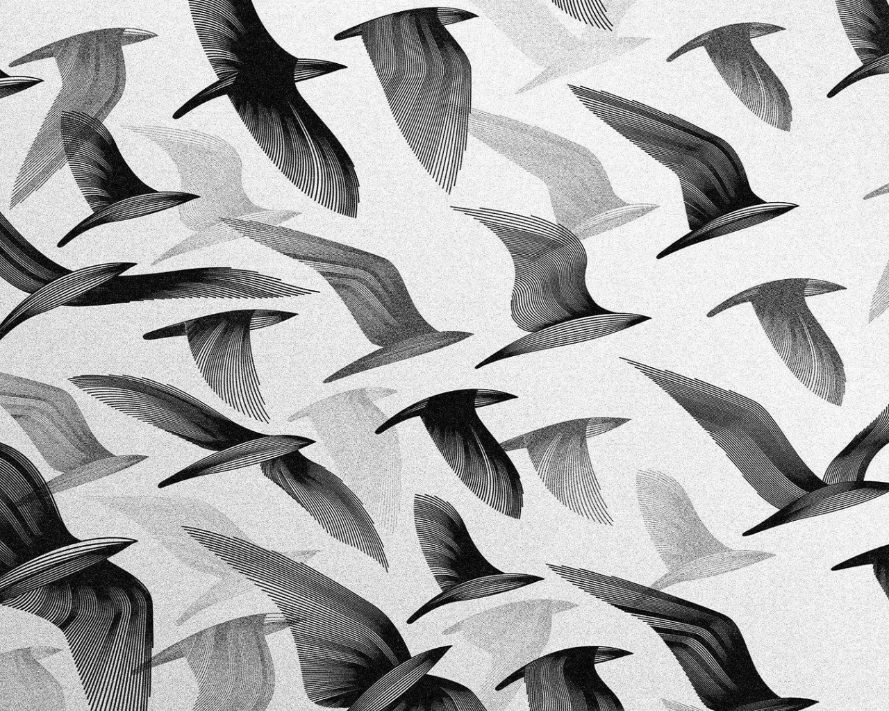 Черные птицы, серый фон