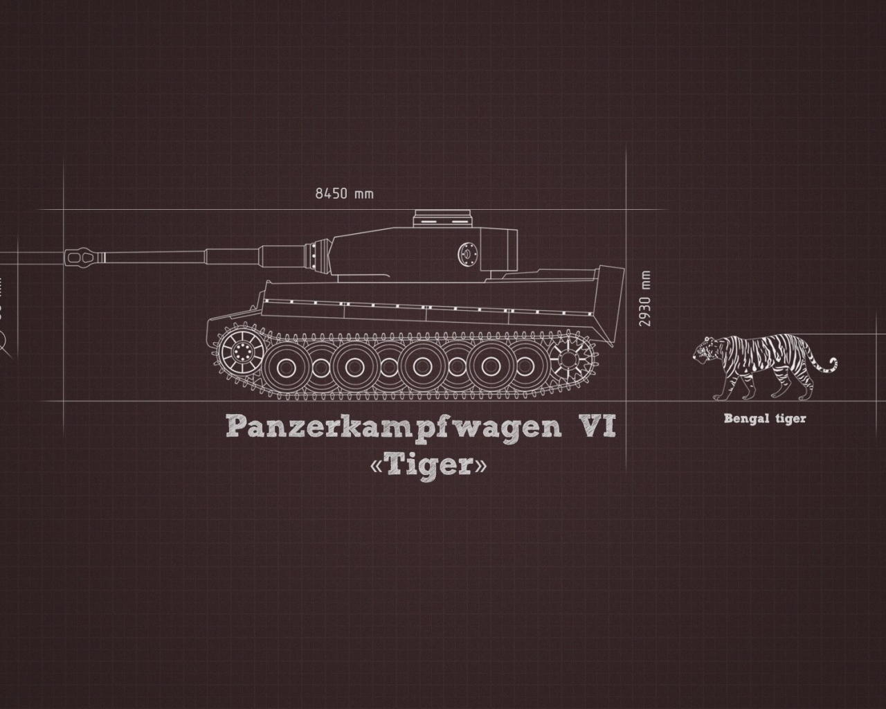 Танк Тигр в сравнении с тигром