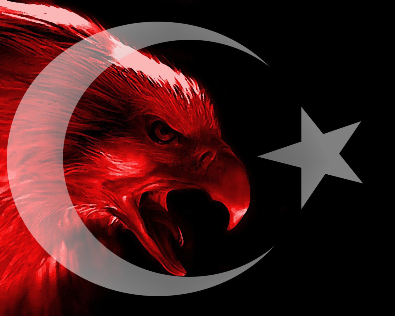 Турецкий красный орел