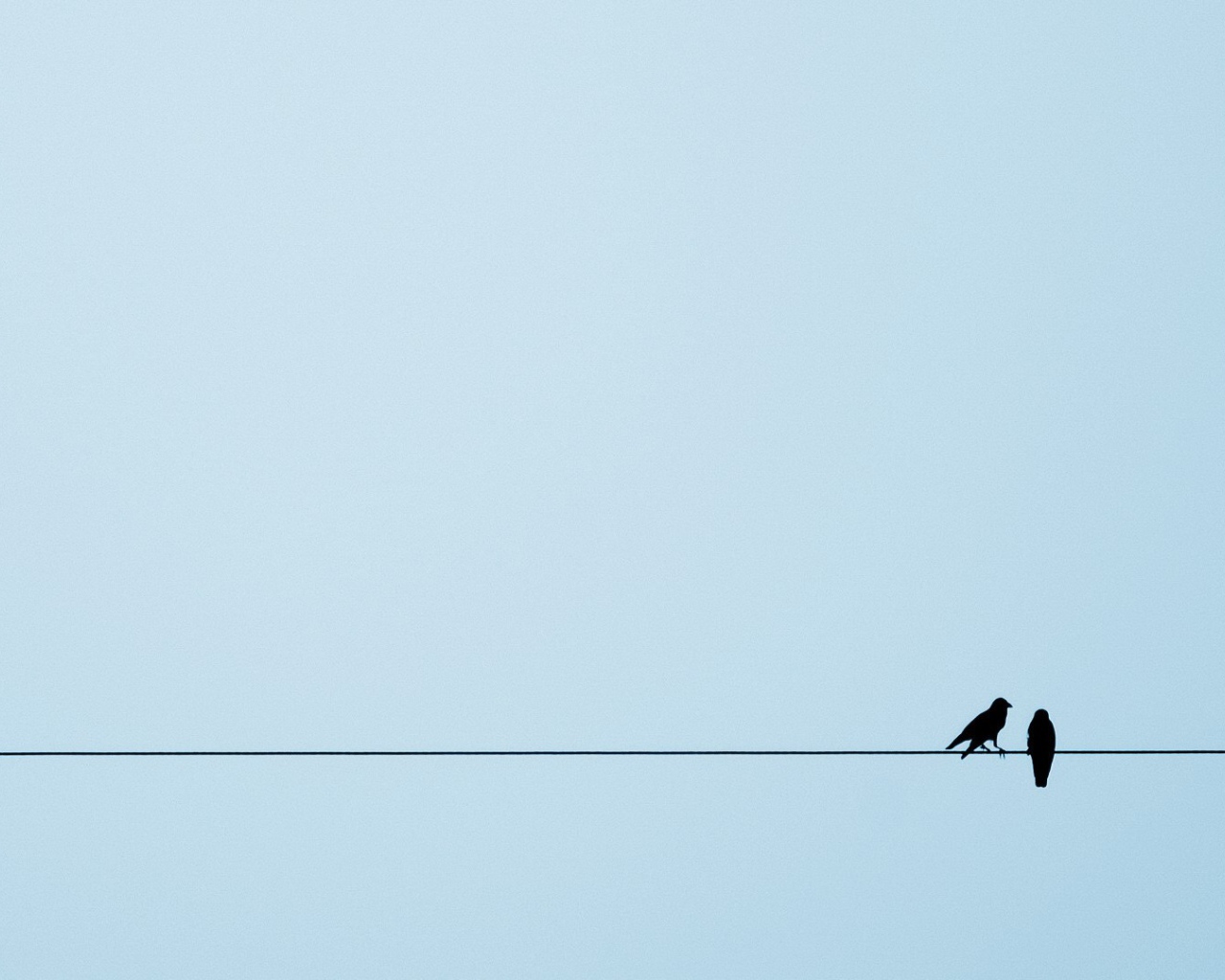 Две птицы на канате, голубой фон