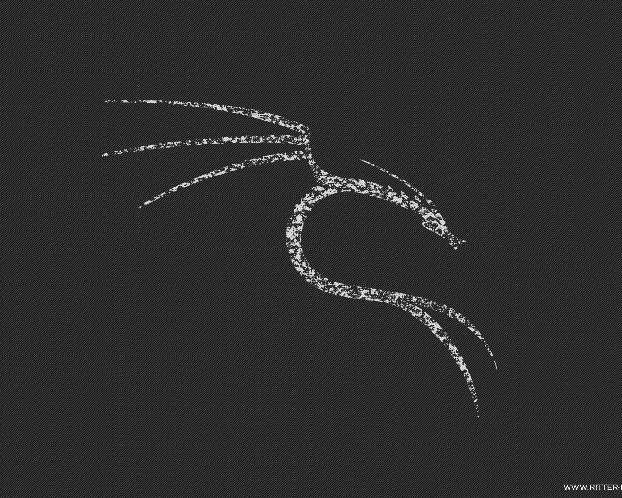 Белый дракон Kali Linux NetHunter