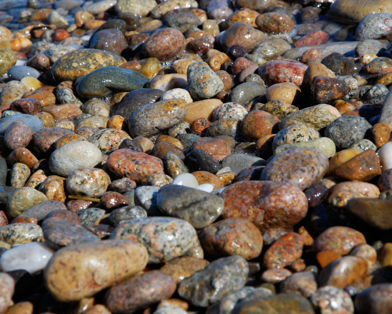 Пятнистые камни