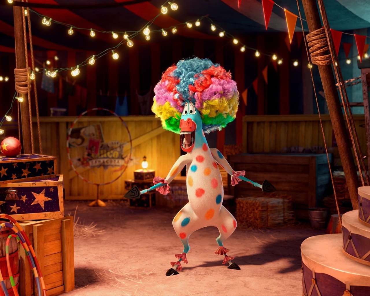 Афро в цирке