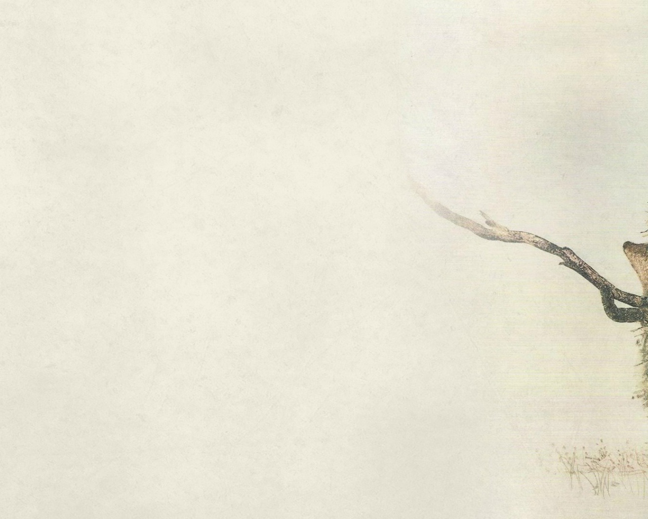 Мультфильм Ёжик в тумане