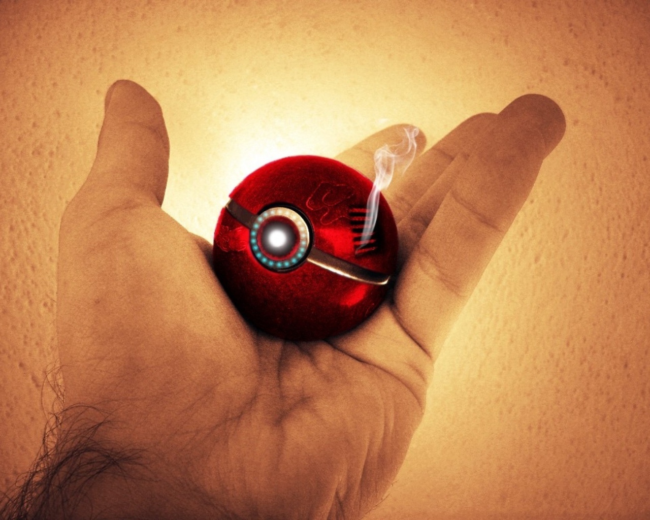 Покебол в руке