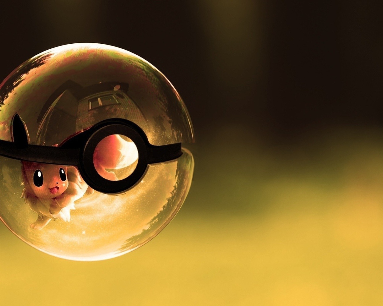 Покемон в прозрачном покеболле