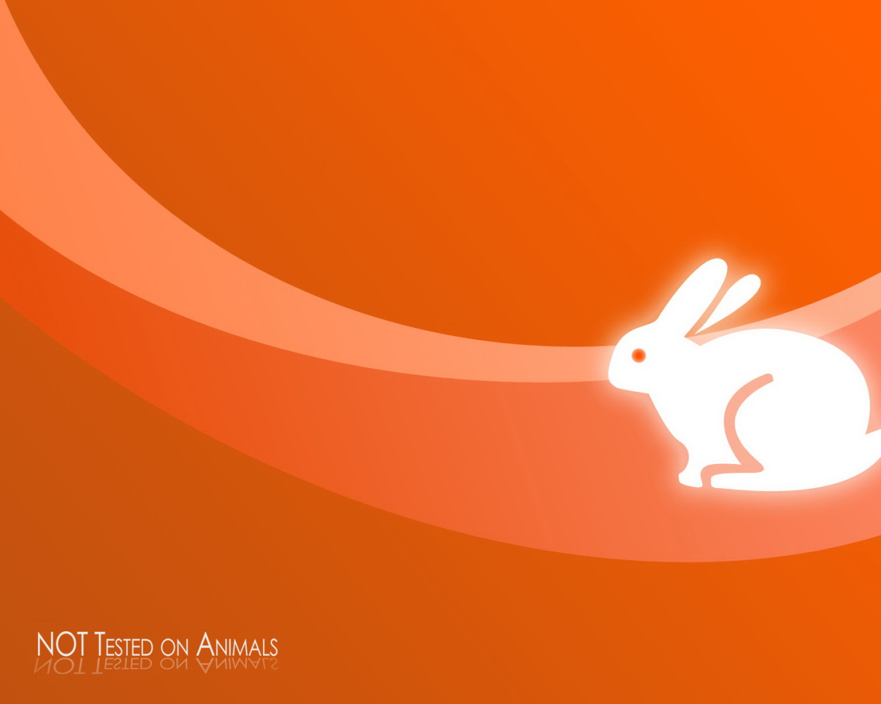 Безвкусная анимация