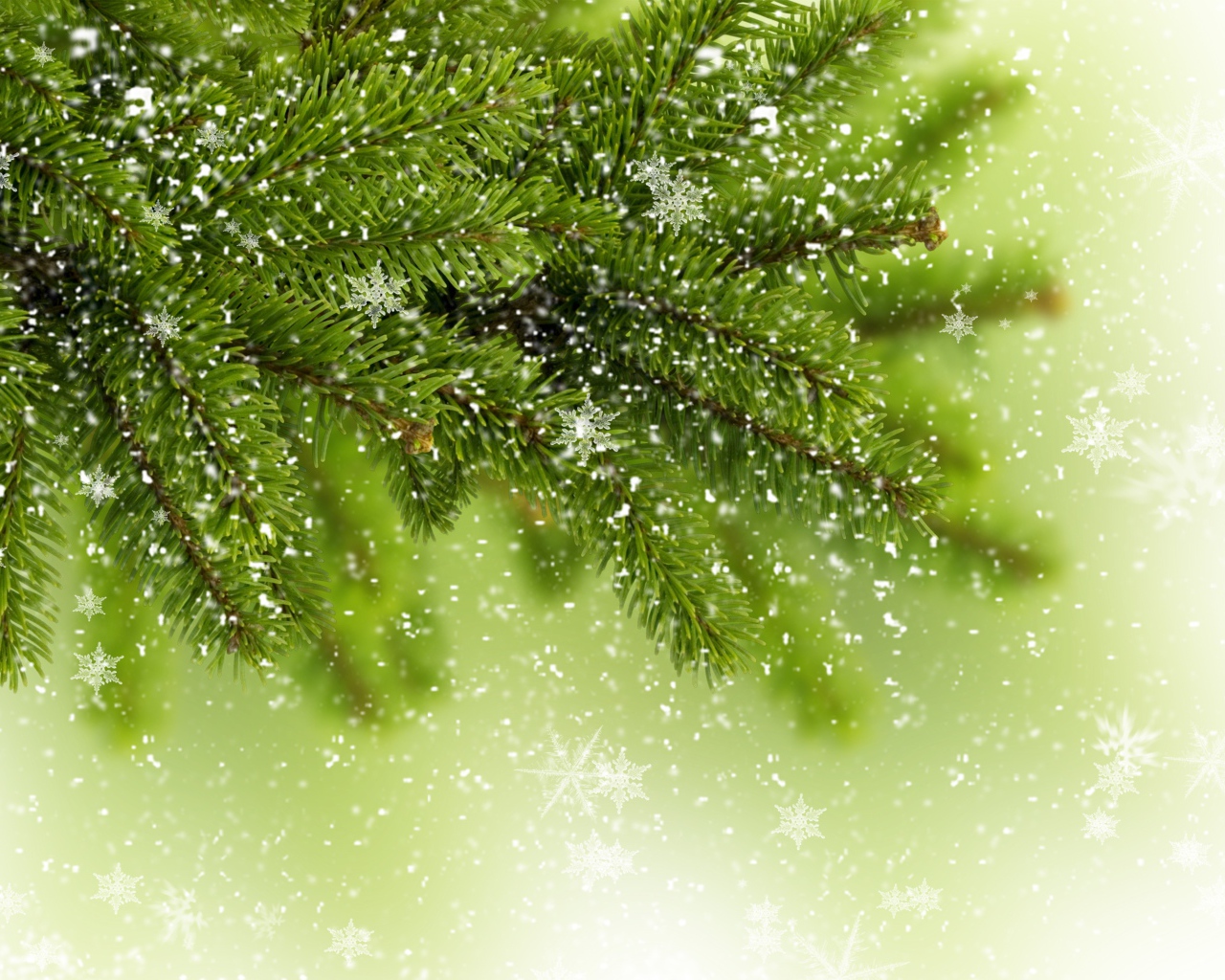 Снежинки на ветке елки