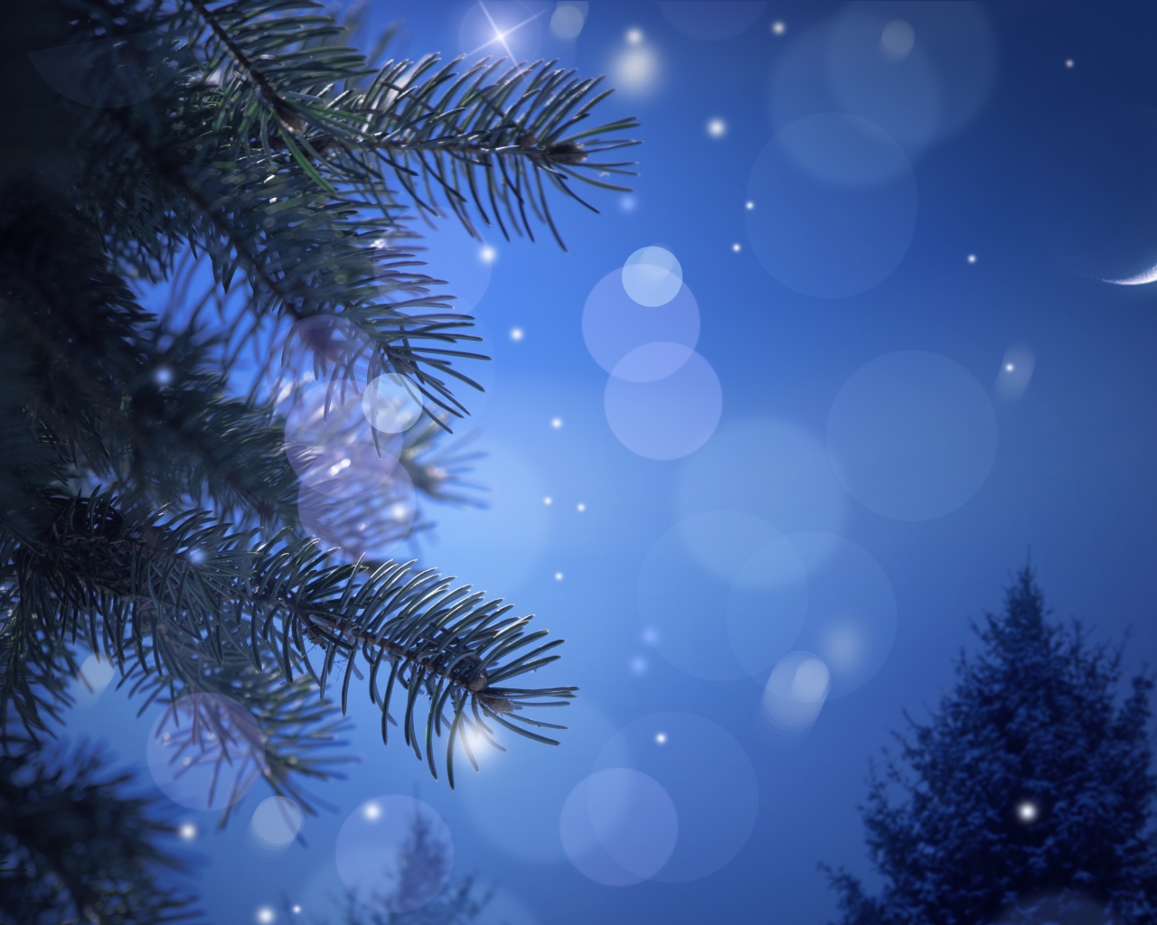 Новогодняя лунная ночь