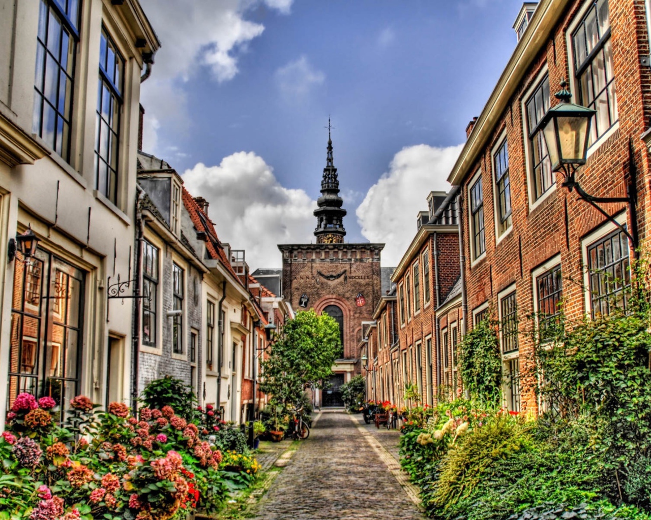 Цветущая узкая улица