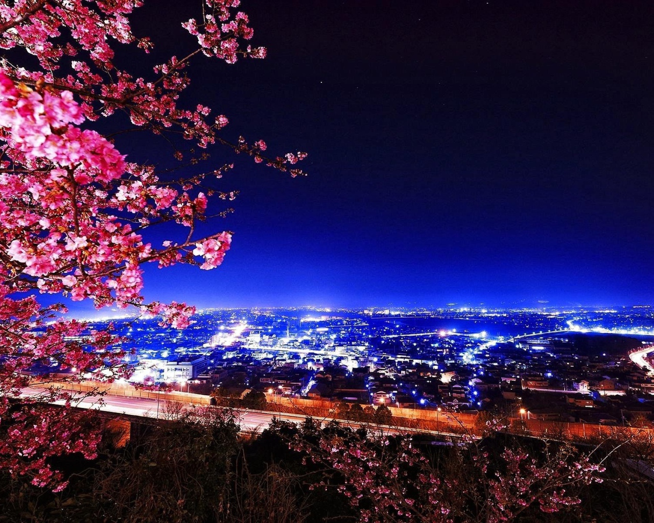 Цветущая сакура на фоне ночного города