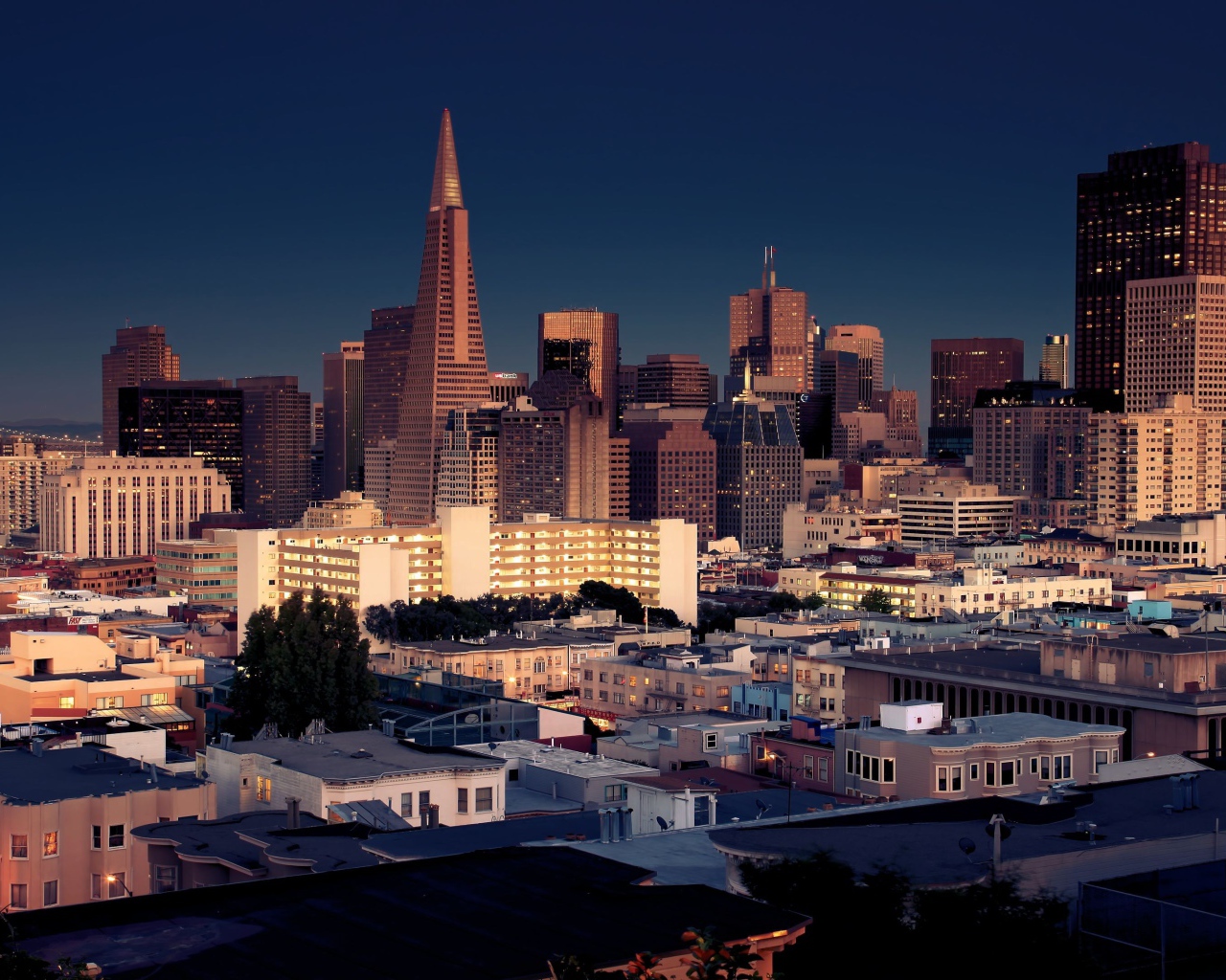 Вечерние небоскребы города Сан-Франциско