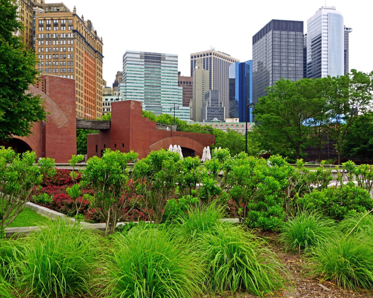 Зеленый парк в центре города