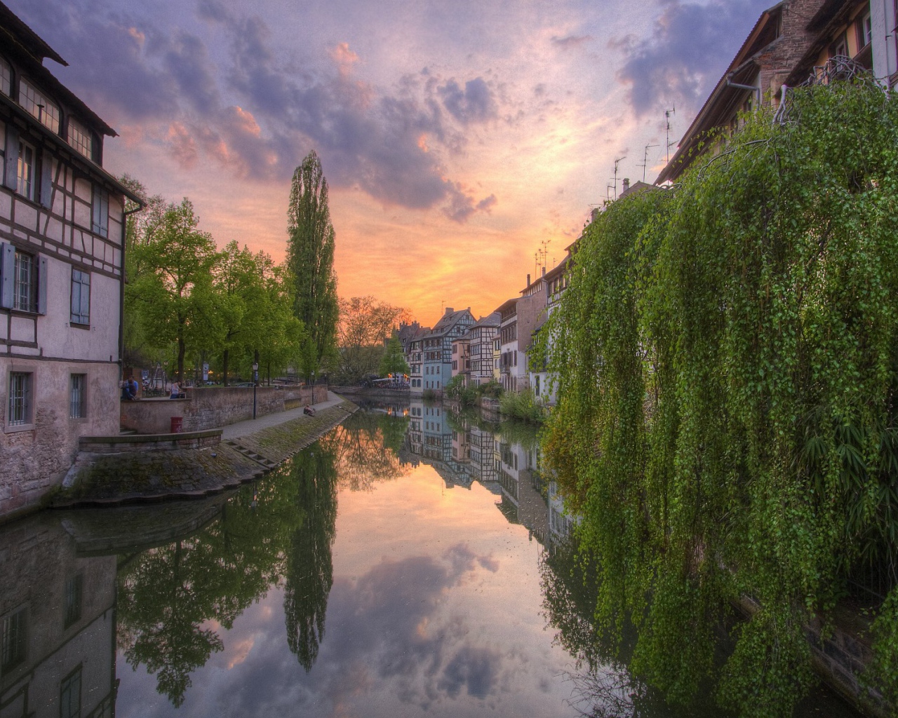 Зелень деревьев свисает до воды канала