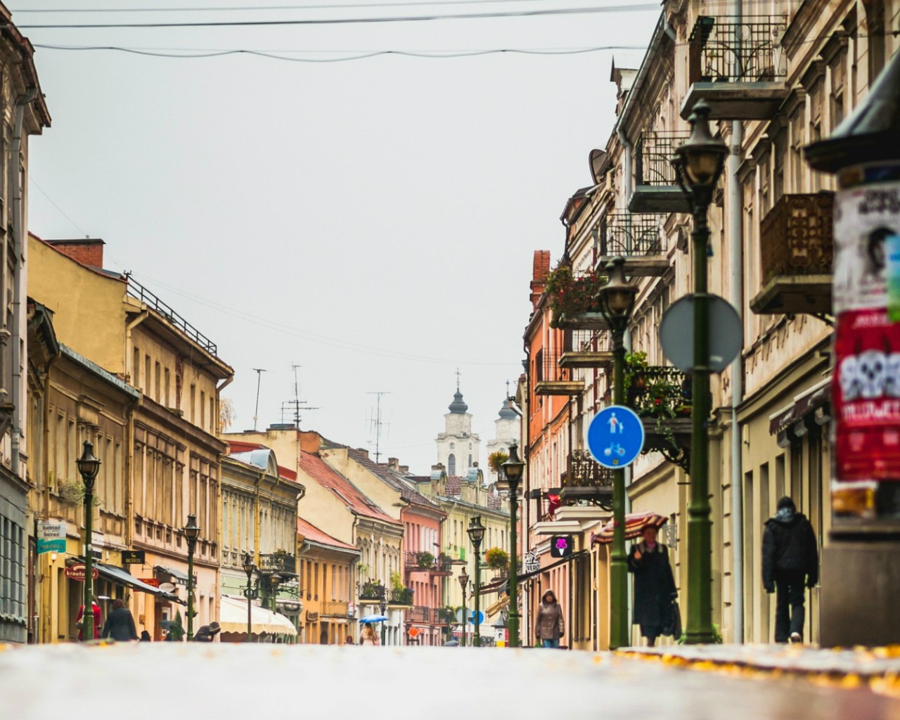 Город Каунас, Литва