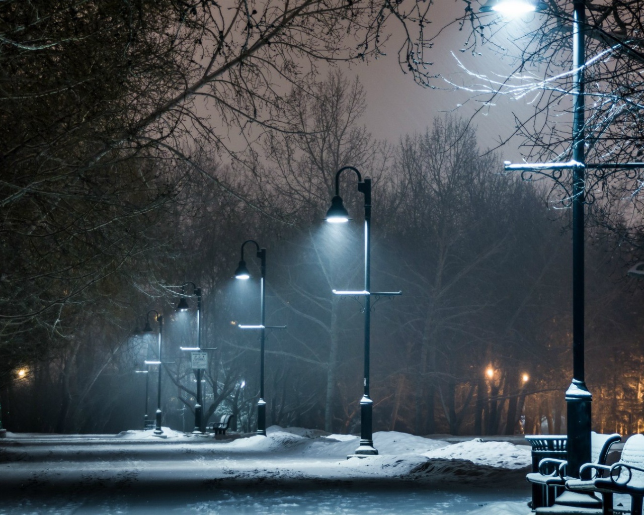 Ночная аллея в зимнем парке