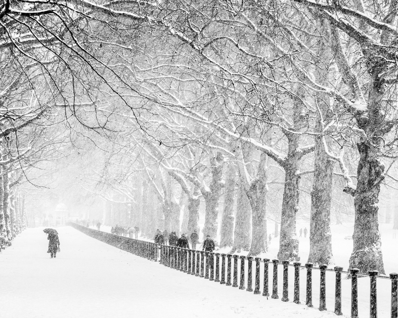 Сент-Джеймс Парк, Лондон