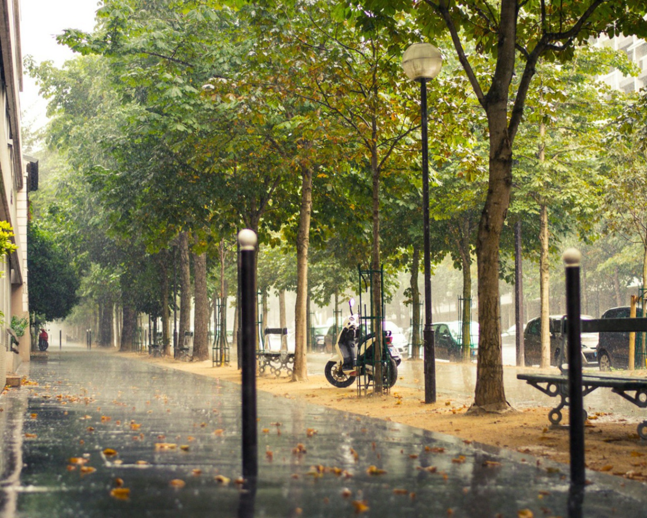 Улица Парижа во время дождя