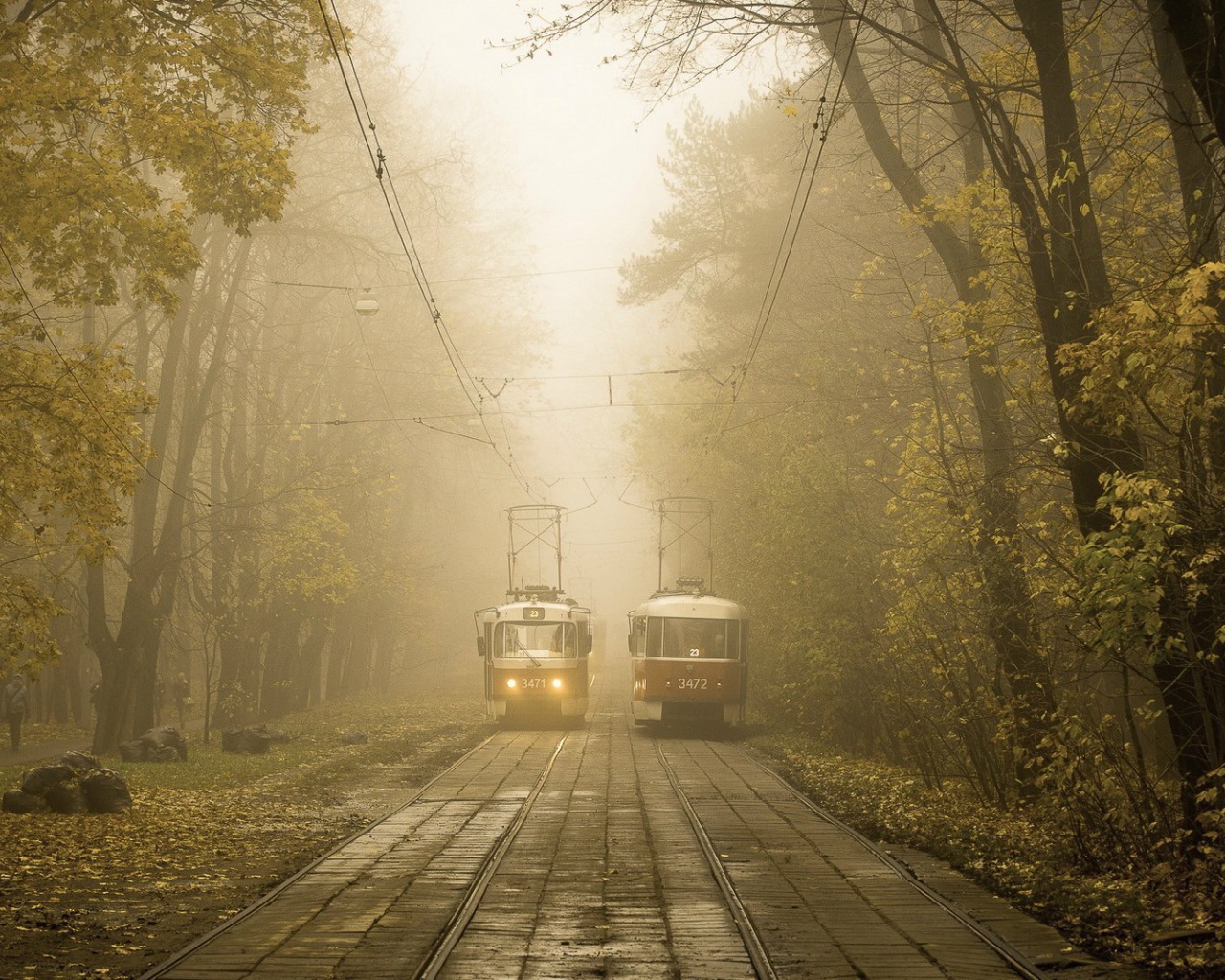 Two tram line in the city park