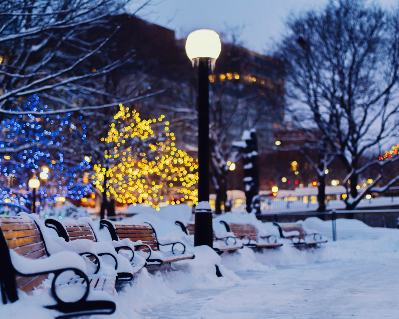 Зимний сквер в Оттаве, Канада