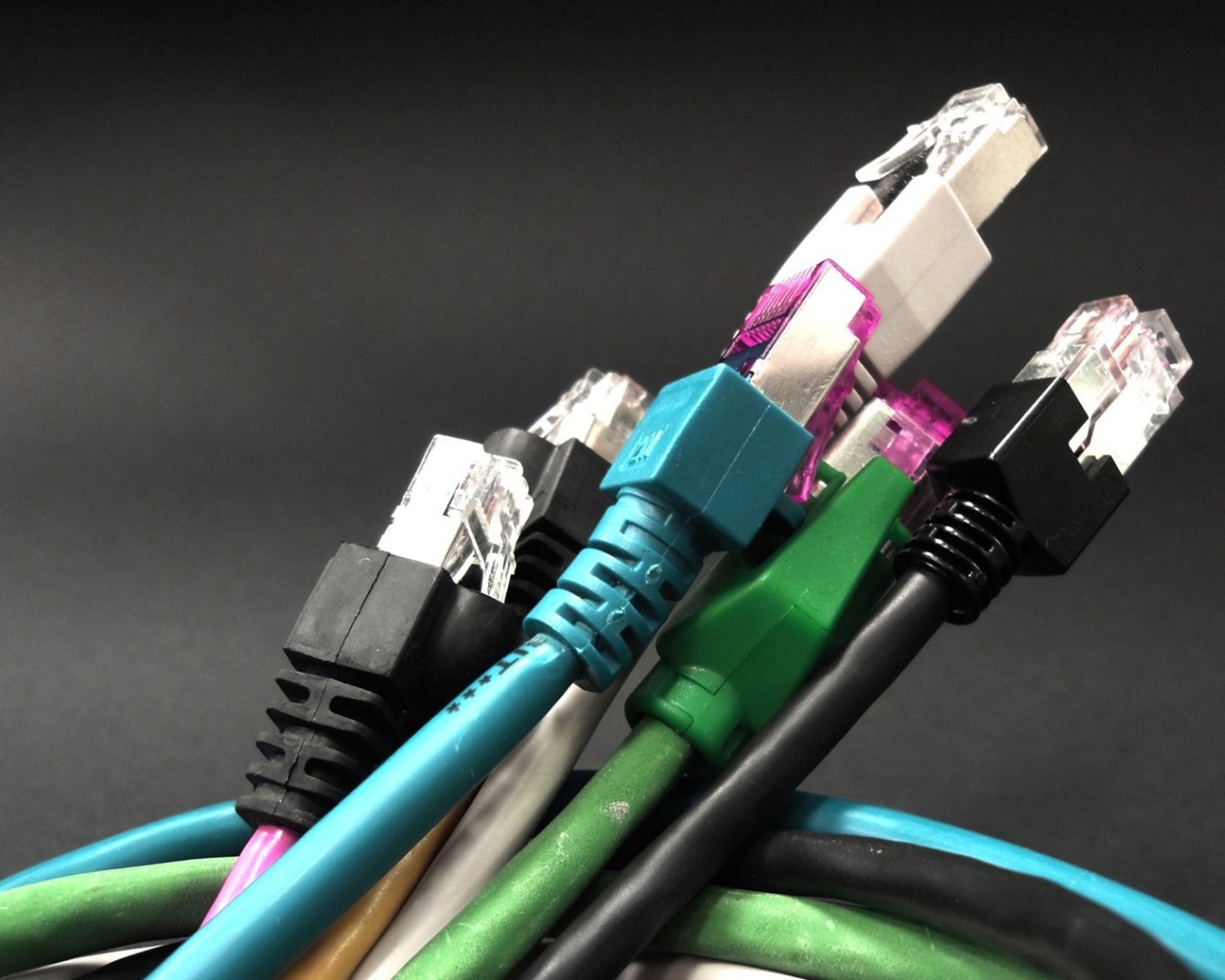 Букет компьютерных тюльпанов