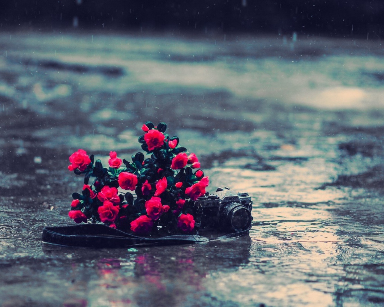 Букет цветов и фотоаппарат под дождем