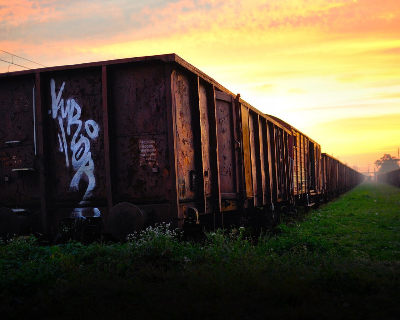 Заброшенная железнодорожная ветка