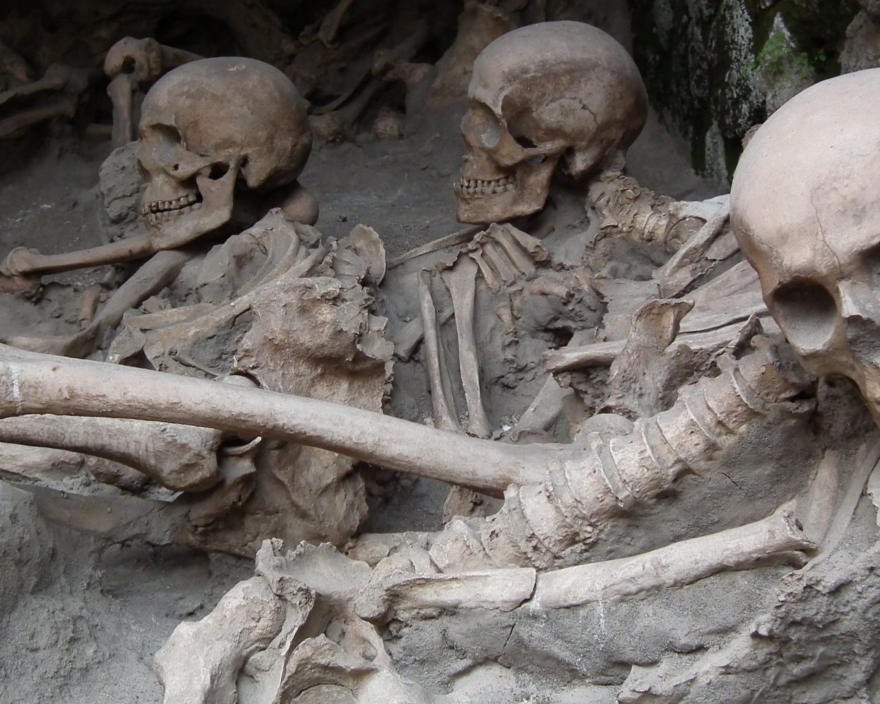 Археологические раскопки древнего захоронения