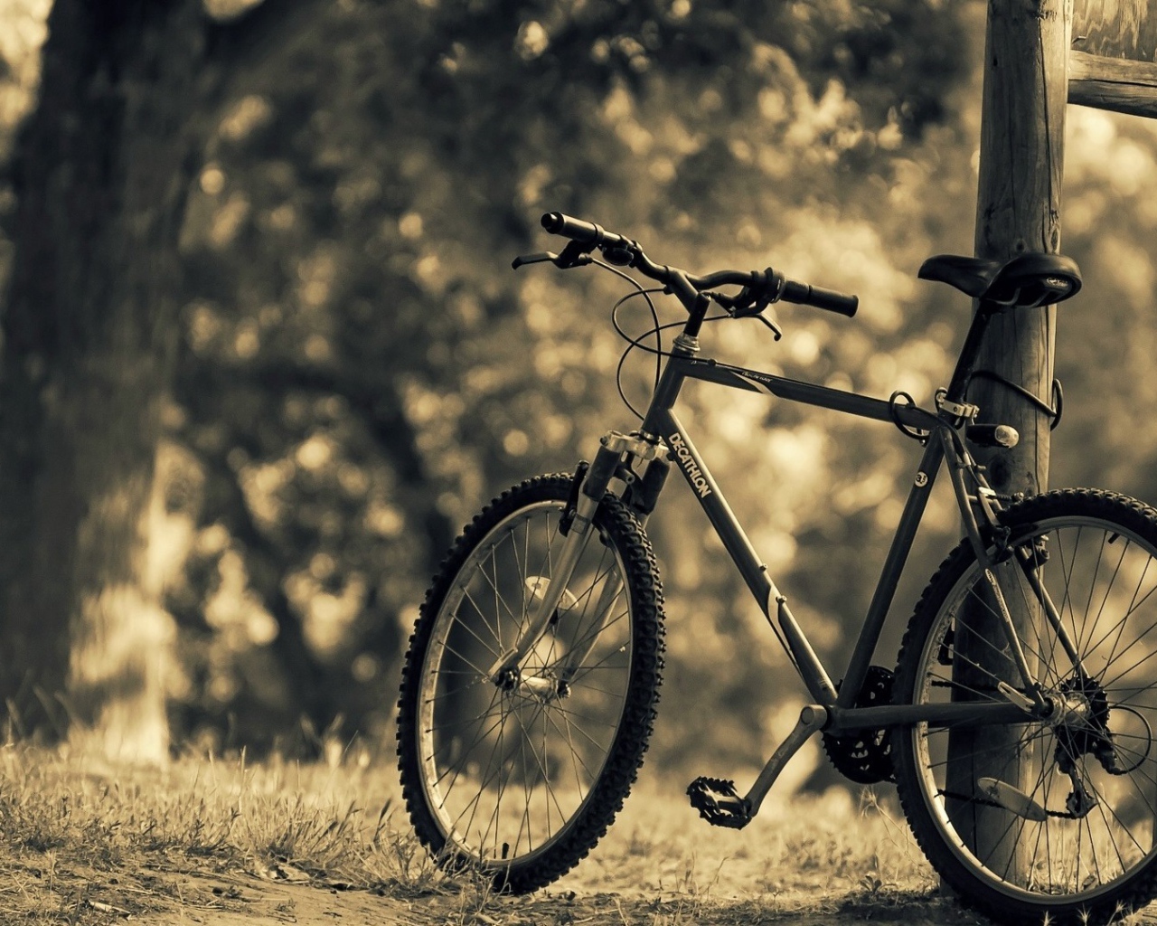 Велосипед стоит у стойки в парке