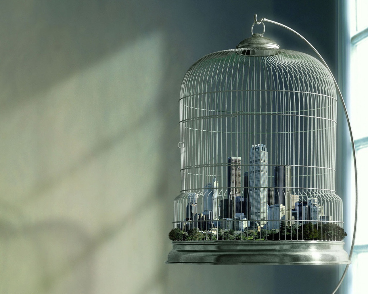 Большой город в птичьей клетке