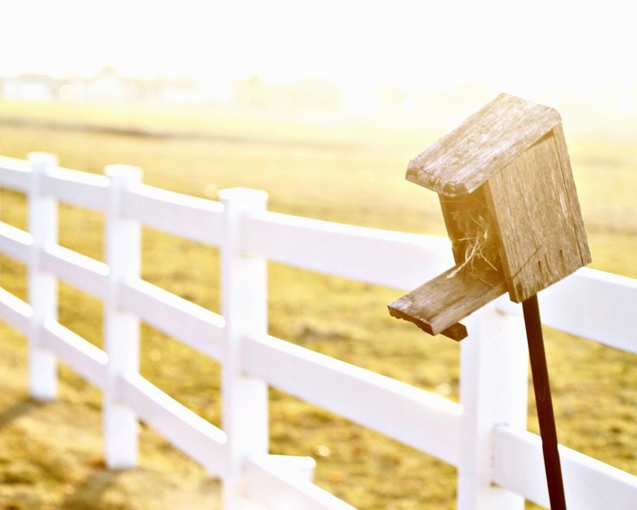 Птичья избушка на заборе