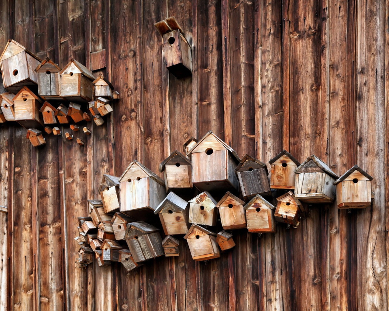 Скворечники на деревянной стене