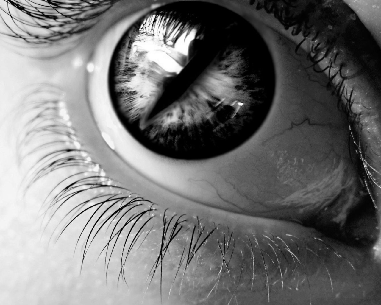 Черный зрачок в глазу
