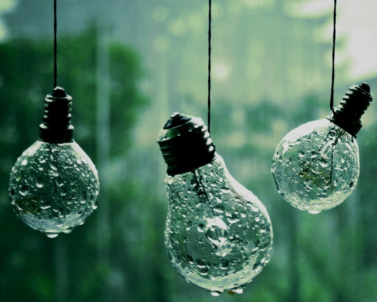 Лампочки висят на веревках под дождем