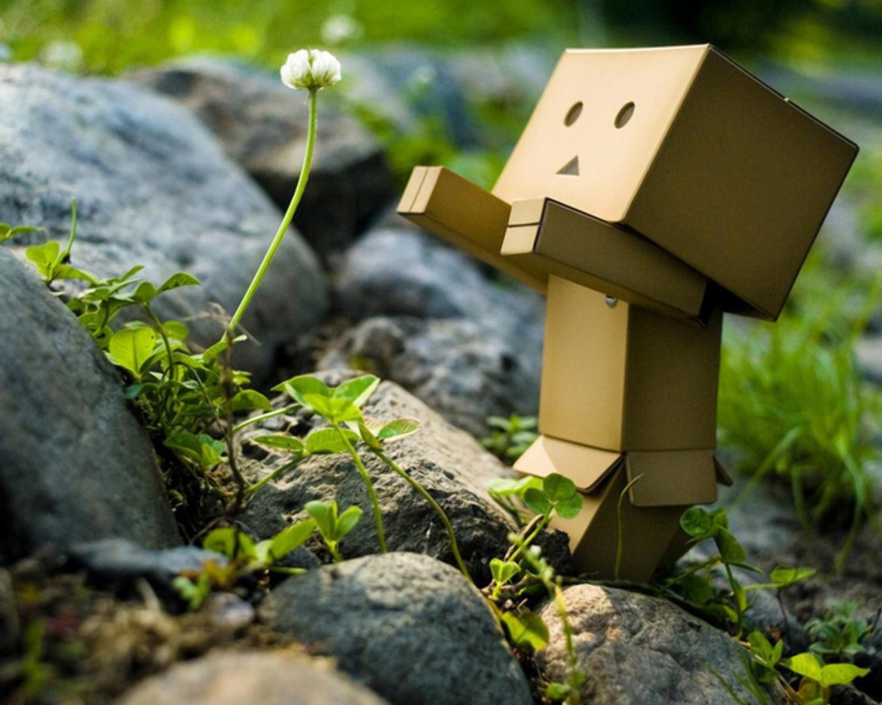 Картонный человечек радуется цветку