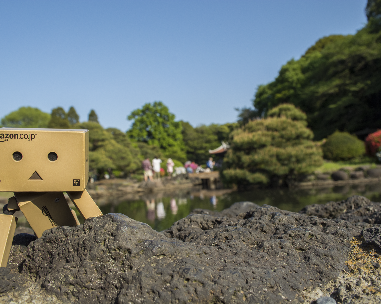 Данбору кун прячется за камнем