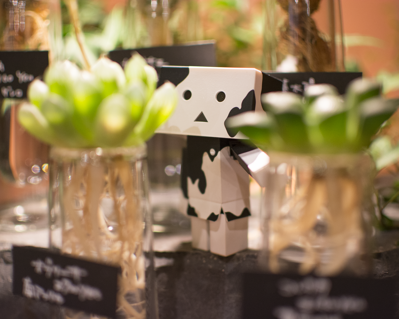 Дандо в маскировке