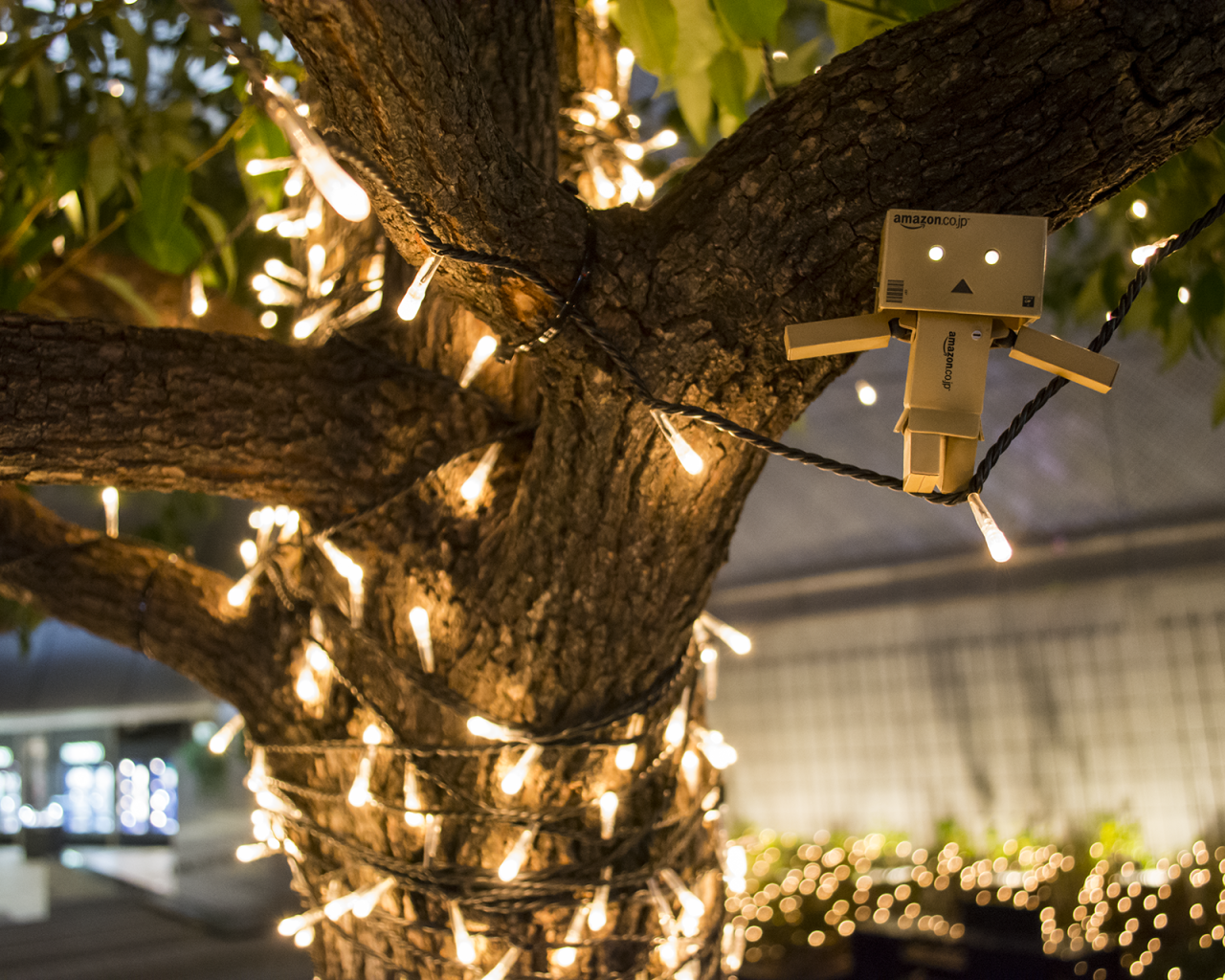 Дандо на гирлянде