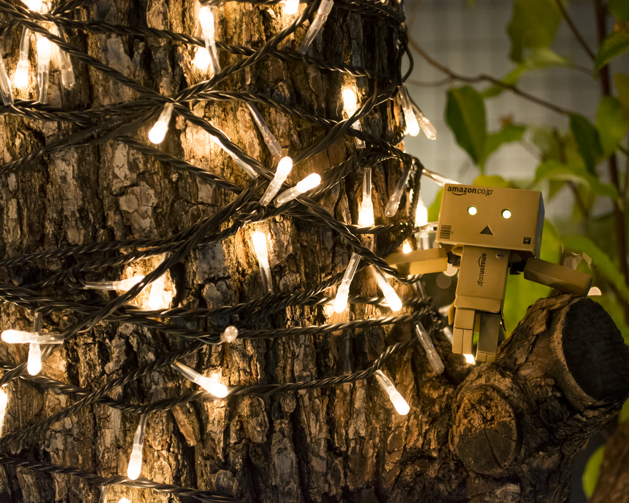 Дандо на дереве