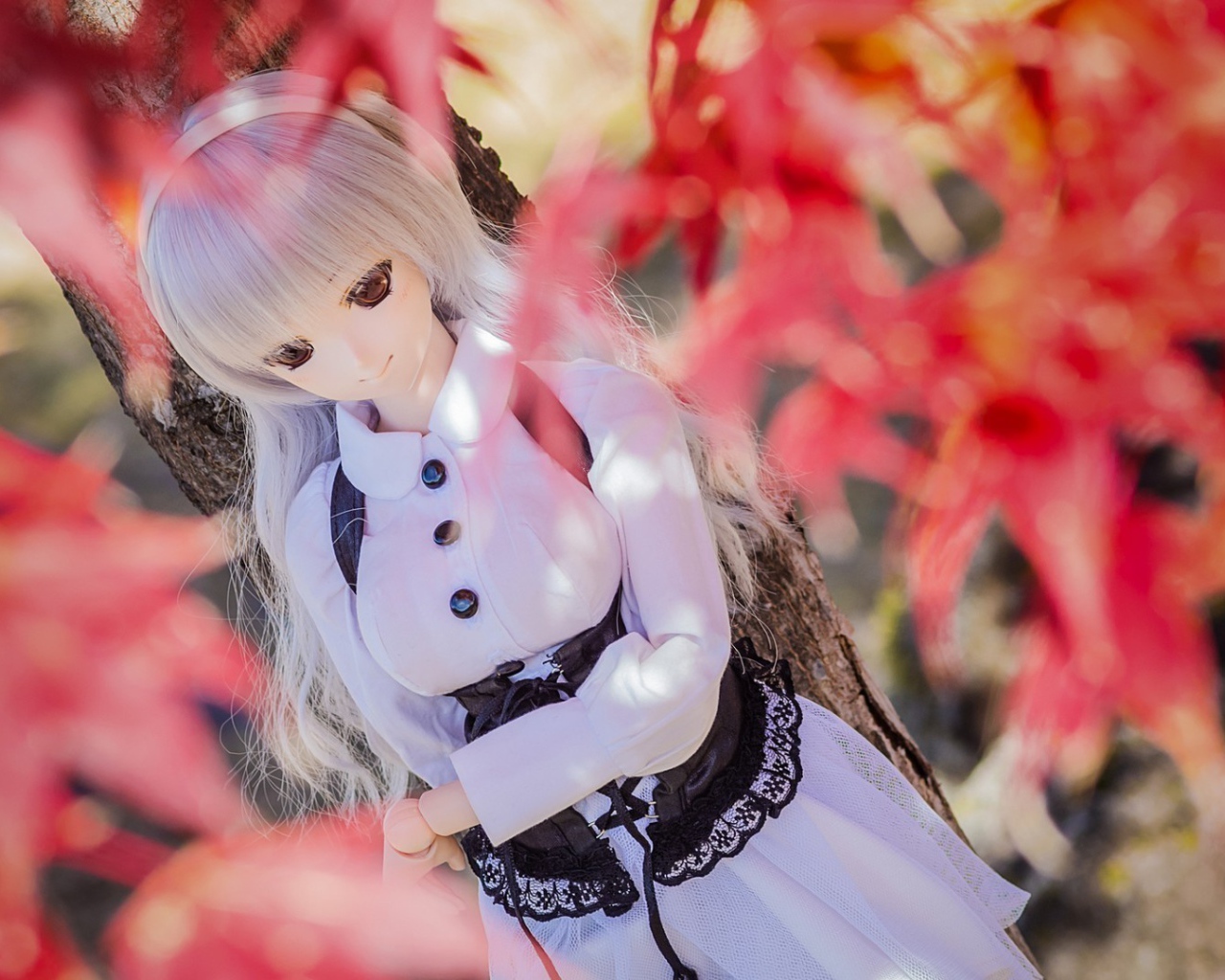 Кукла среди осенней листвы