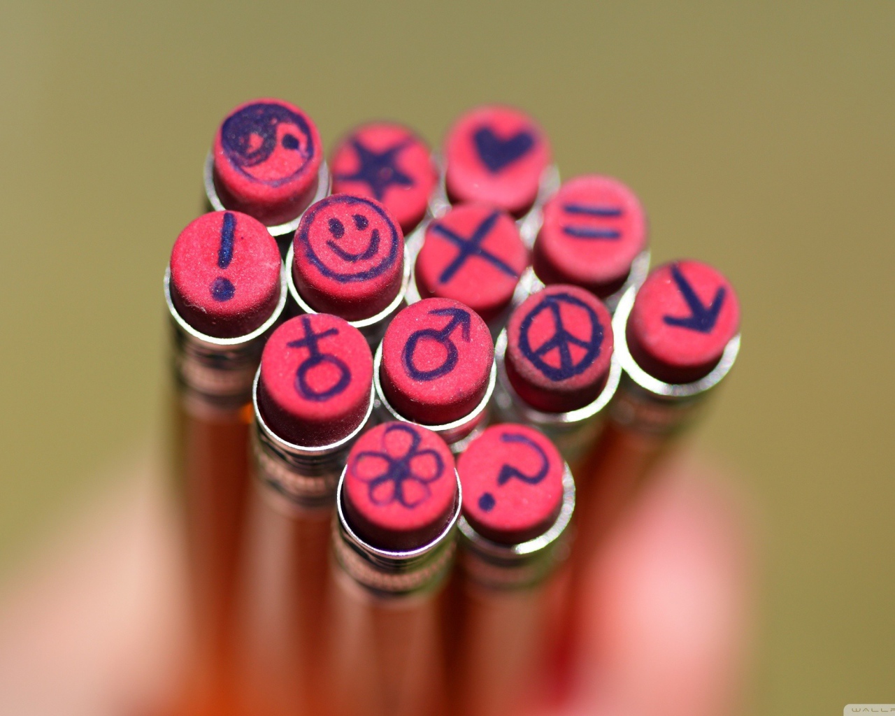 Рисунки на ластиках карандашей