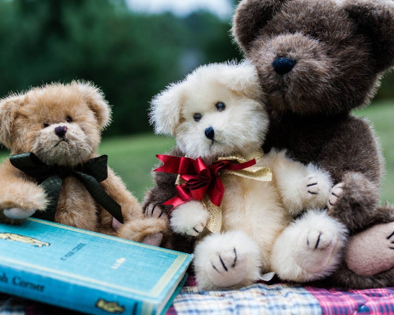 Семейство плюшевых медведей с книгой