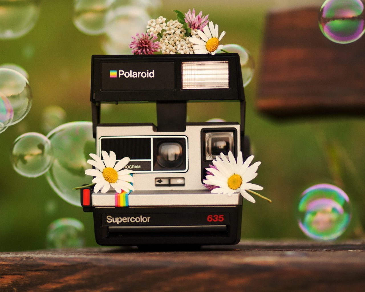 Цветы на фотоаппарате Полароид